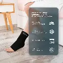 182X_2.webp