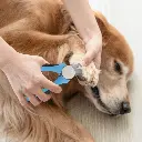 0720_5.webp