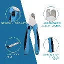 0720_2.webp