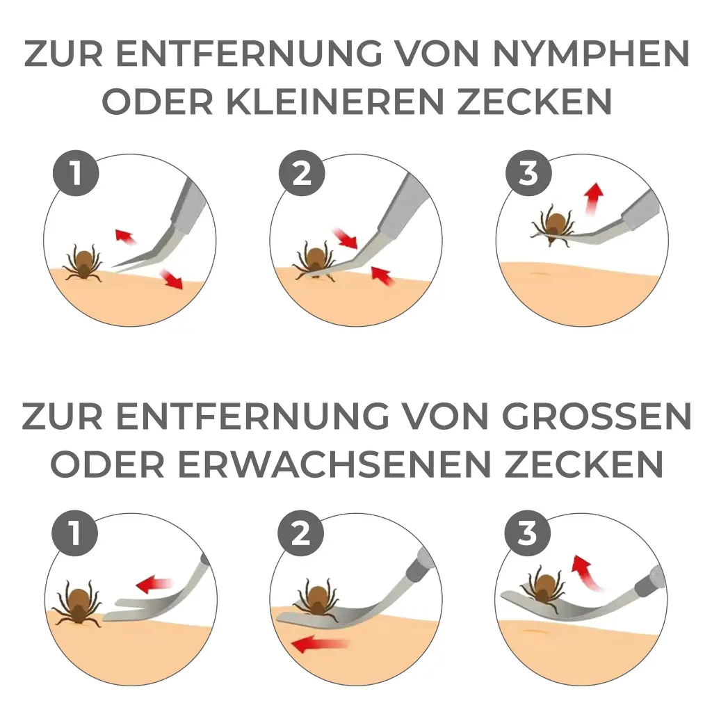 0707_4_web.webp