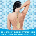 1720_2.webp